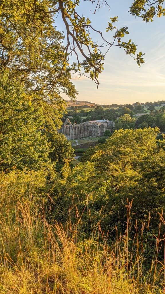 back o th hill farm bolton abbey picture by sbc marketing 3
